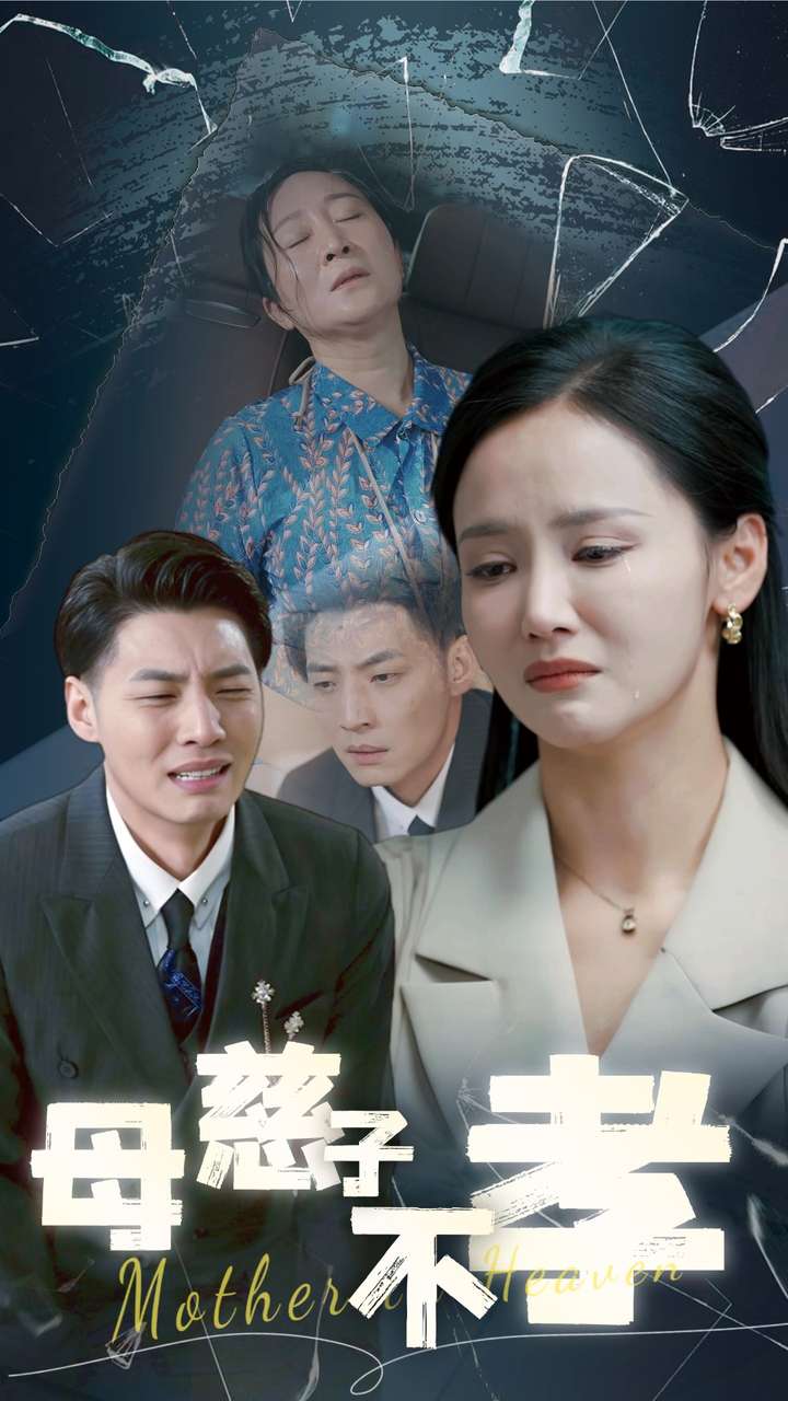 母慈子不孝的封面海报