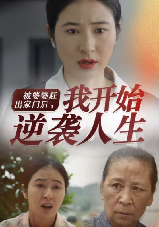 被婆婆赶出家门后我开始逆袭人生的封面海报
